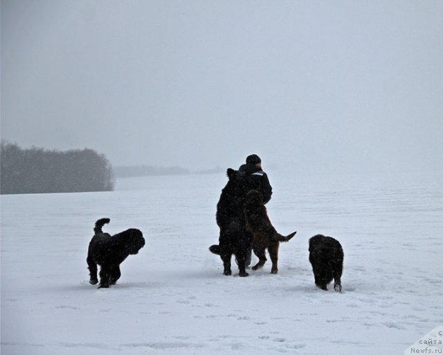 Фотография № 87768