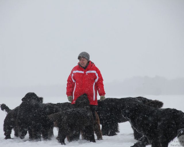 Фотография № 87769