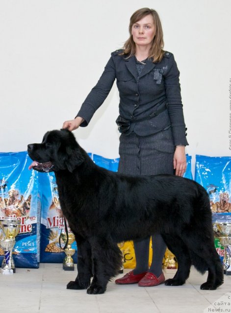 Фотография № 87774