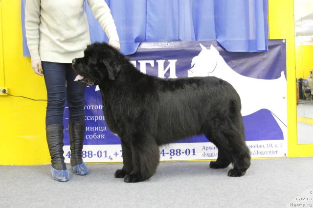 Фотография № 87789