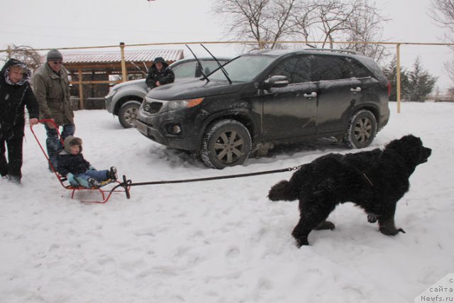 Фотография № 87793