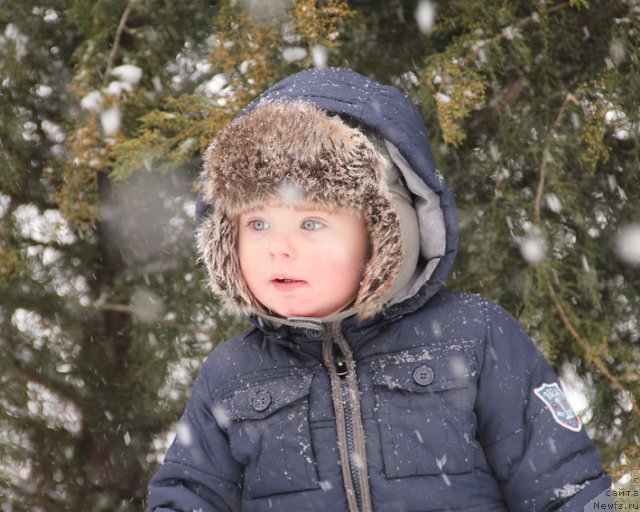 Фотография № 87797