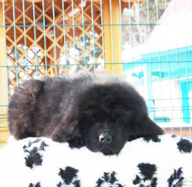 Фото: Акватория Келвин Тиффани