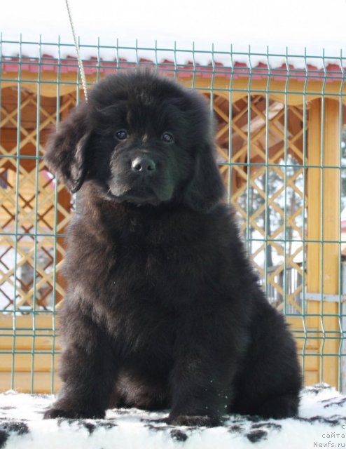 Фото: Акватория Келвин Тиффани