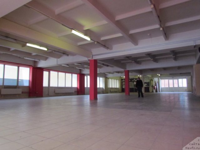 Фотография № 87815