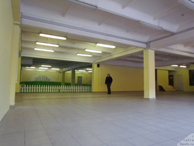 Фотография № 87816