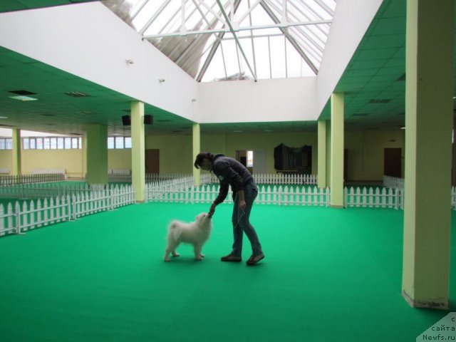 Фотография № 87817