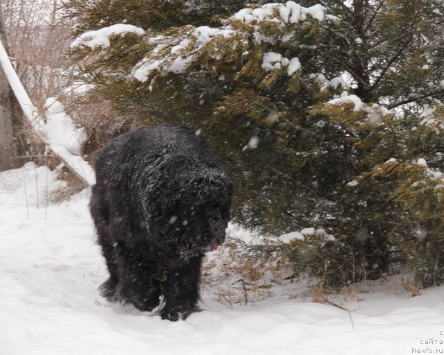 Фотография № 87818