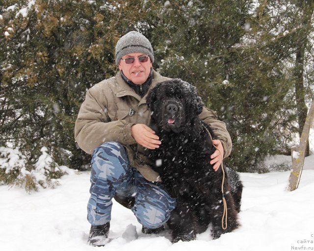 Фото: Vitaliy Ivanickiy (Виталий Иваницкий), ньюфаундленд Sila s Berega Dona (Сила с Берега Дона)