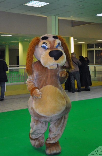 Фотография № 87822