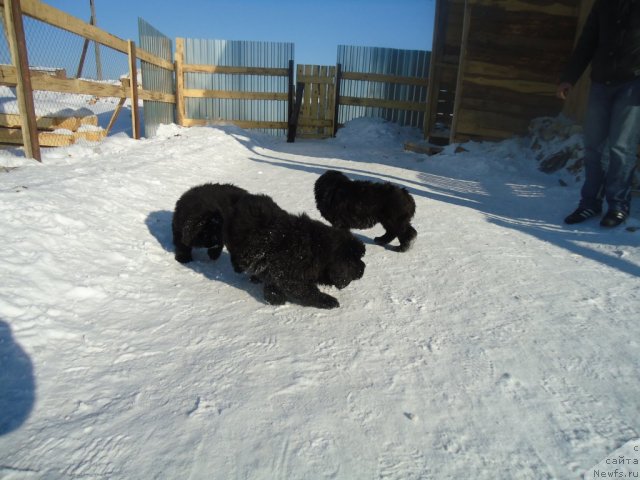 Фотография № 87840