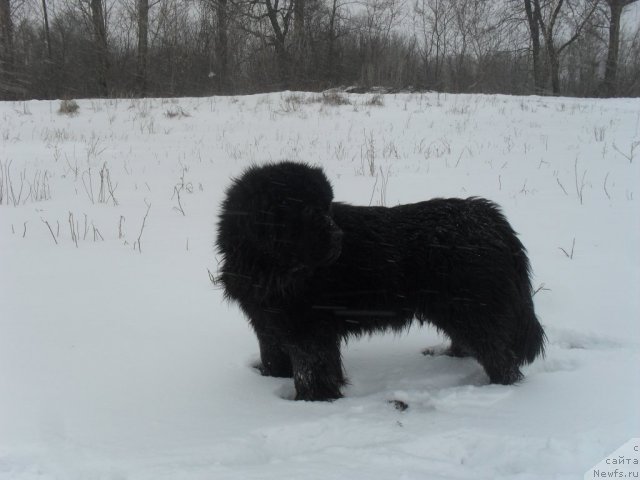 Фотография № 87927