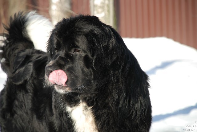 Фотография № 87936