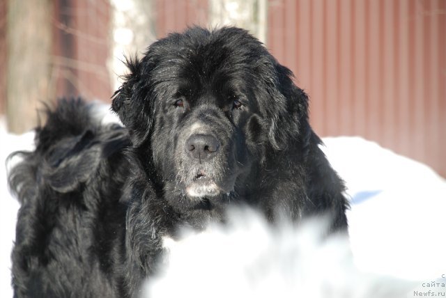 Фотография № 87937