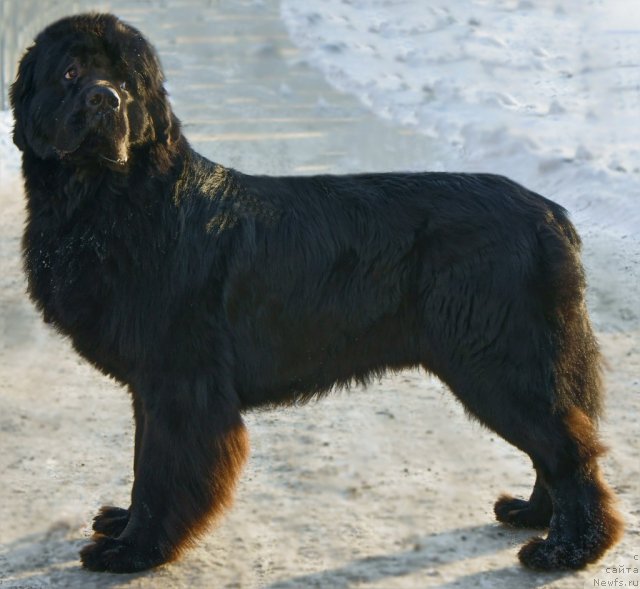 Фотография № 87968