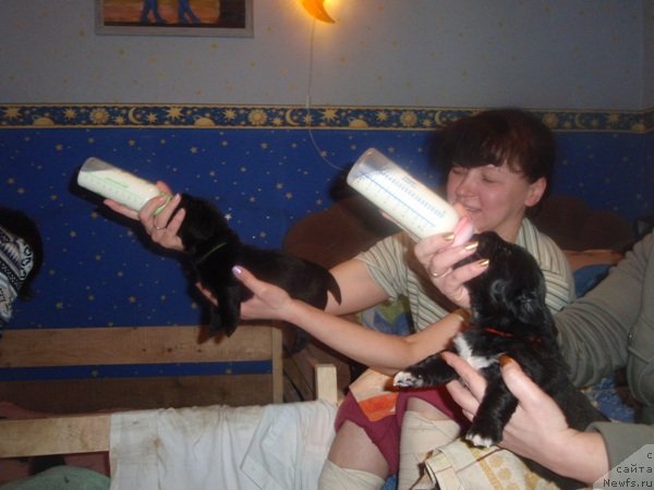 Фото: Ol'ga Abdulova (Ольга Абдулова)