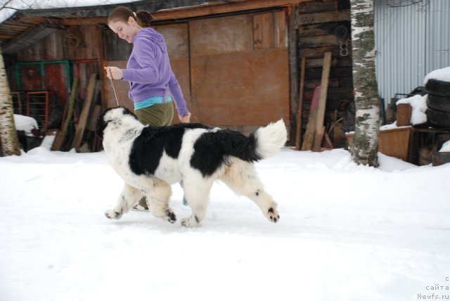 Фотография № 87998