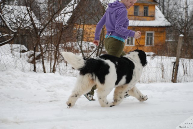 Фотография № 88000