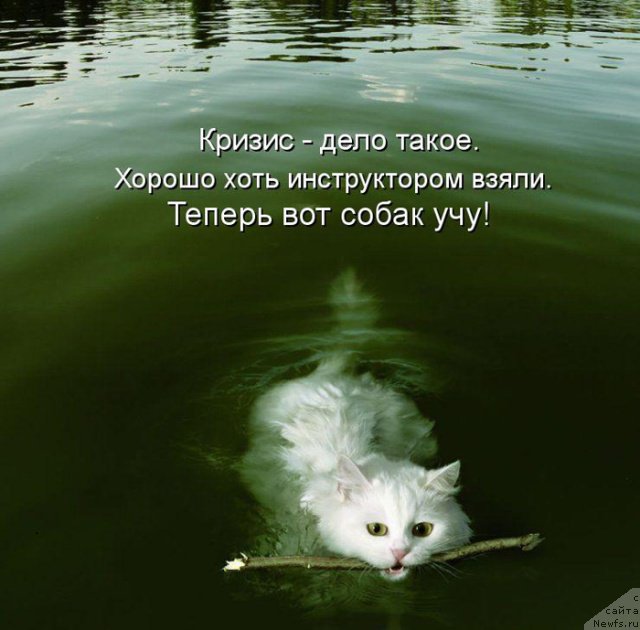 Фотография № 88094