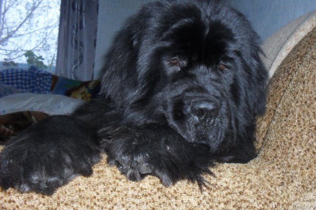 Фотография № 88167