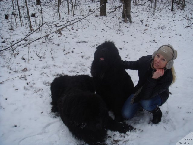 Фото: Ульсан, Алис, 1721