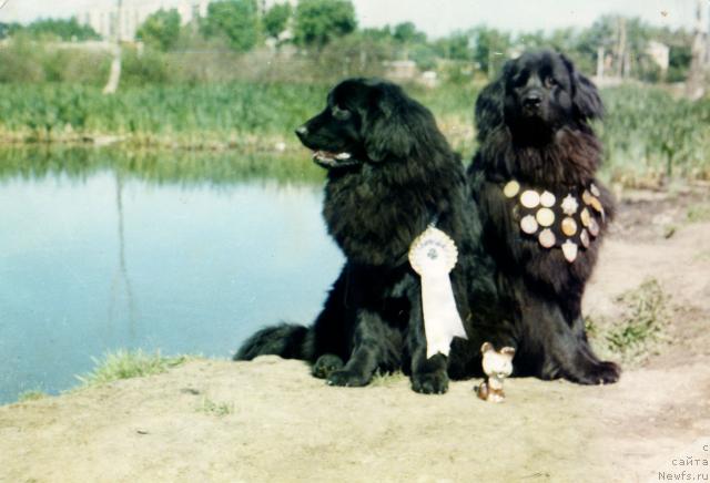 Фотография № 8818