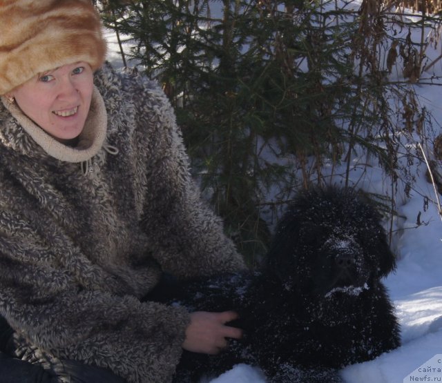 Фотография № 88182