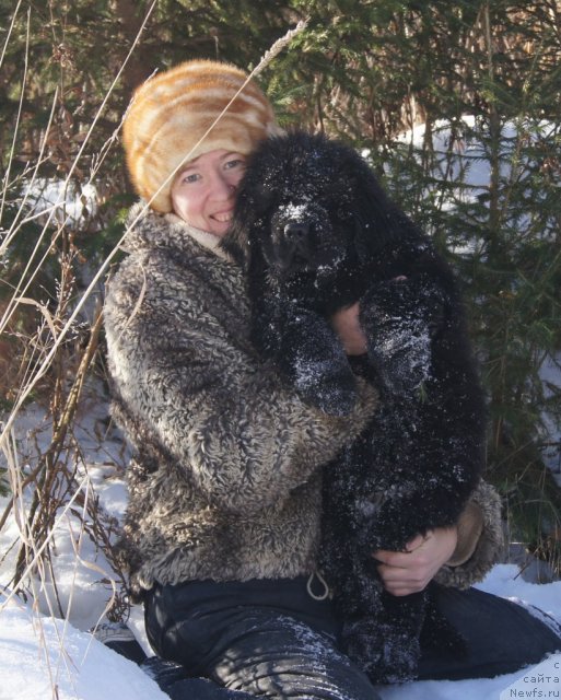 Фото: Ol'ga Trapeznikova (Ольга Трапезникова), ньюфаундленд Fann'yuf Tibul Jelannyiy dlya Ih Vyisochestva (Фанньюф Тибул Желанный для Их Высочества)