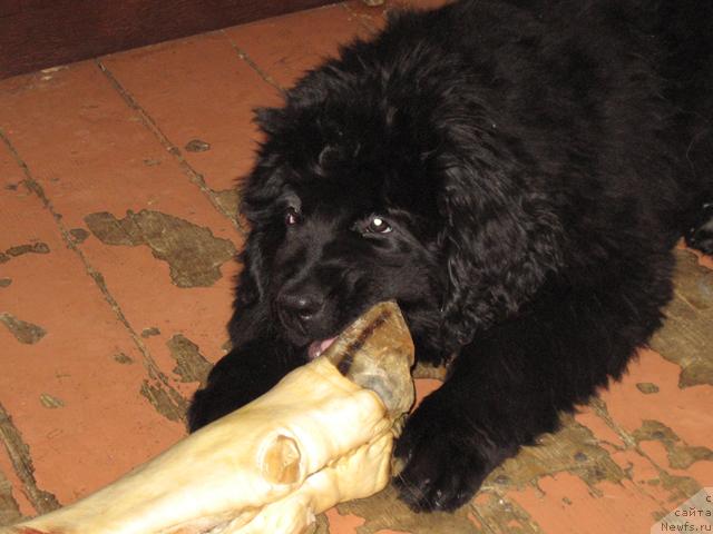 Фотография № 8820