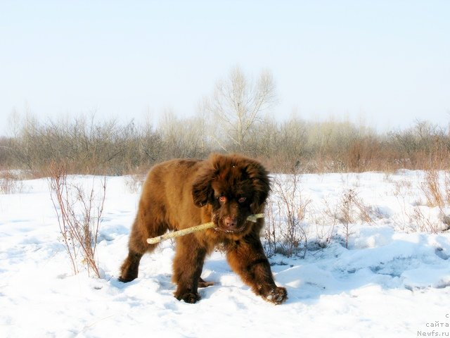 Фотография № 88201