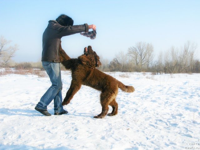 Фотография № 88205