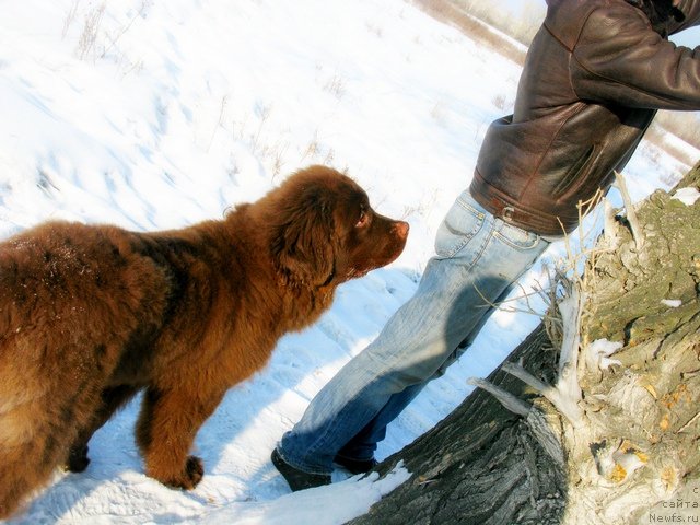 Фотография № 88207