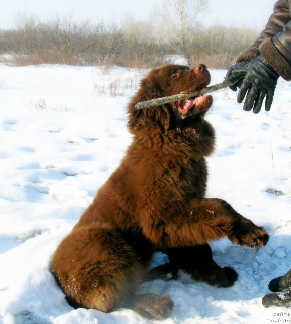 Фотография № 88209