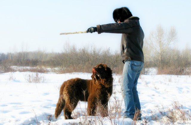 Фотография № 88210