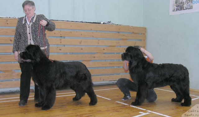 Фотография № 88251