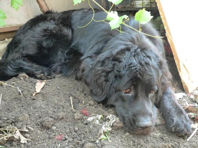 Фотография № 8827