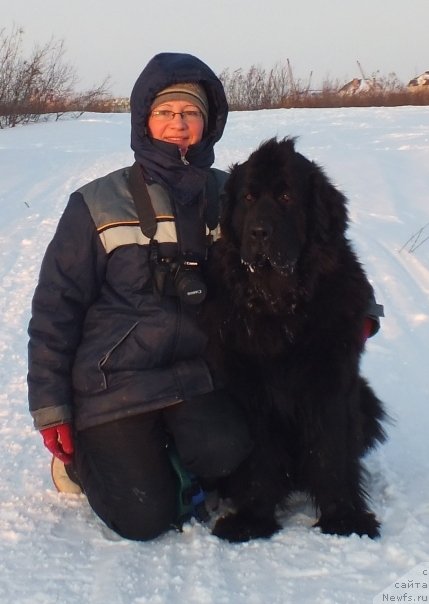 Фото: Elena Kuz'mina (Елена Кузьмина), ньюфаундленд Gloriya Grand Blek (Глория Гранд Блек)