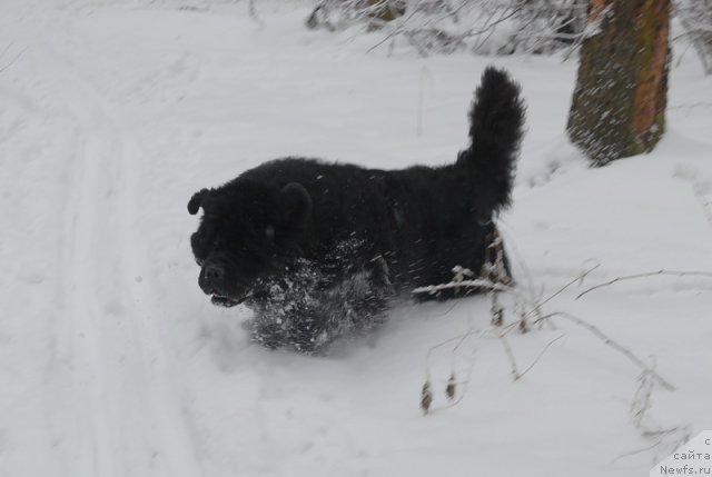 Фотография № 88369