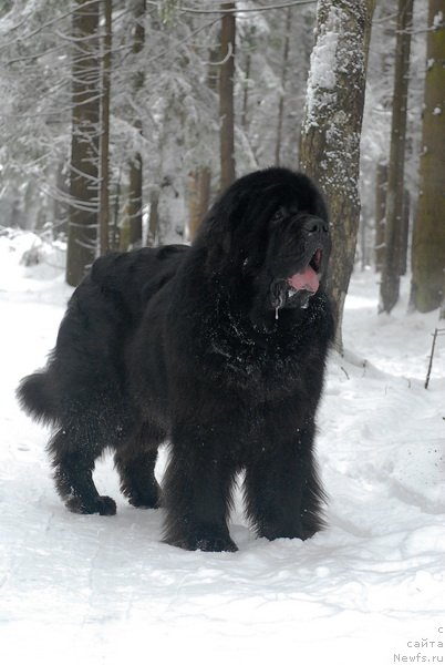 Фотография № 88371