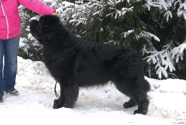 Фотография № 88383