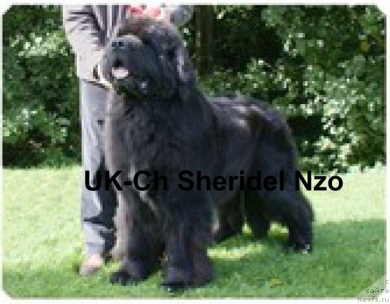 Фотография № 88406