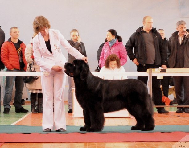 Фотография № 88411