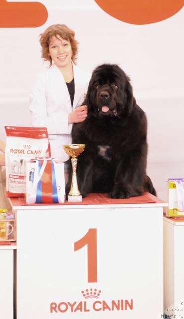 Фотография № 88412