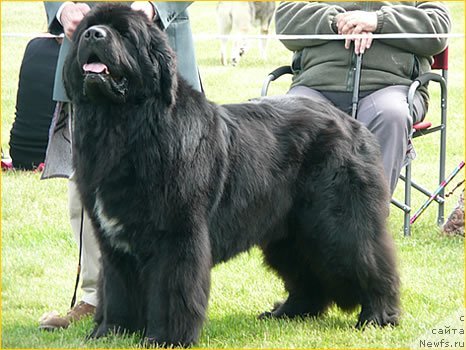 Фотография № 88419