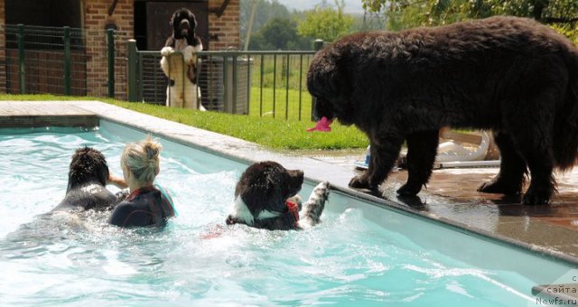 Фото: питомник Two Waterfalls Land