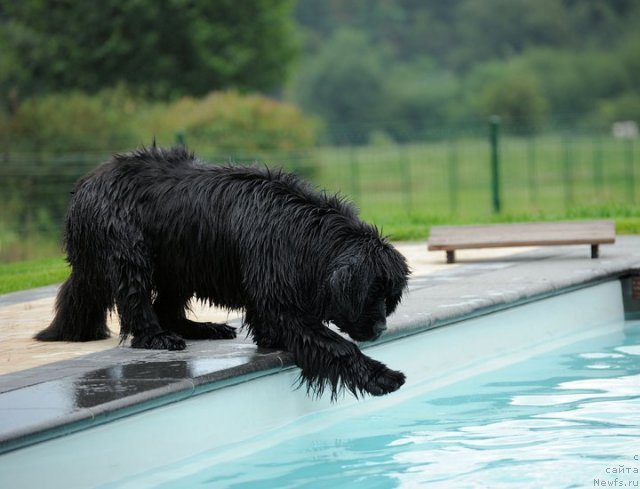 Фото: питомник Two Waterfalls Land