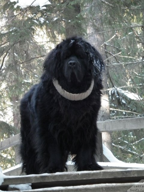 Фотография № 88524