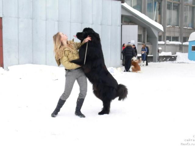 Фотография № 8857