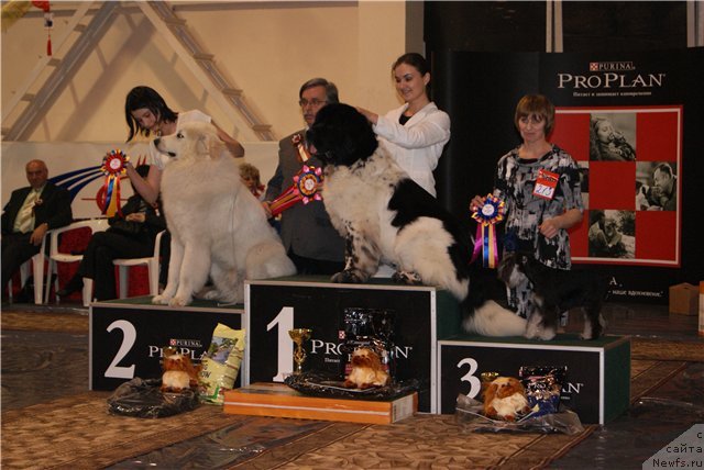 Фотография № 88632