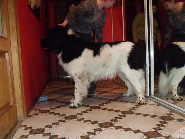 Фотография № 88653